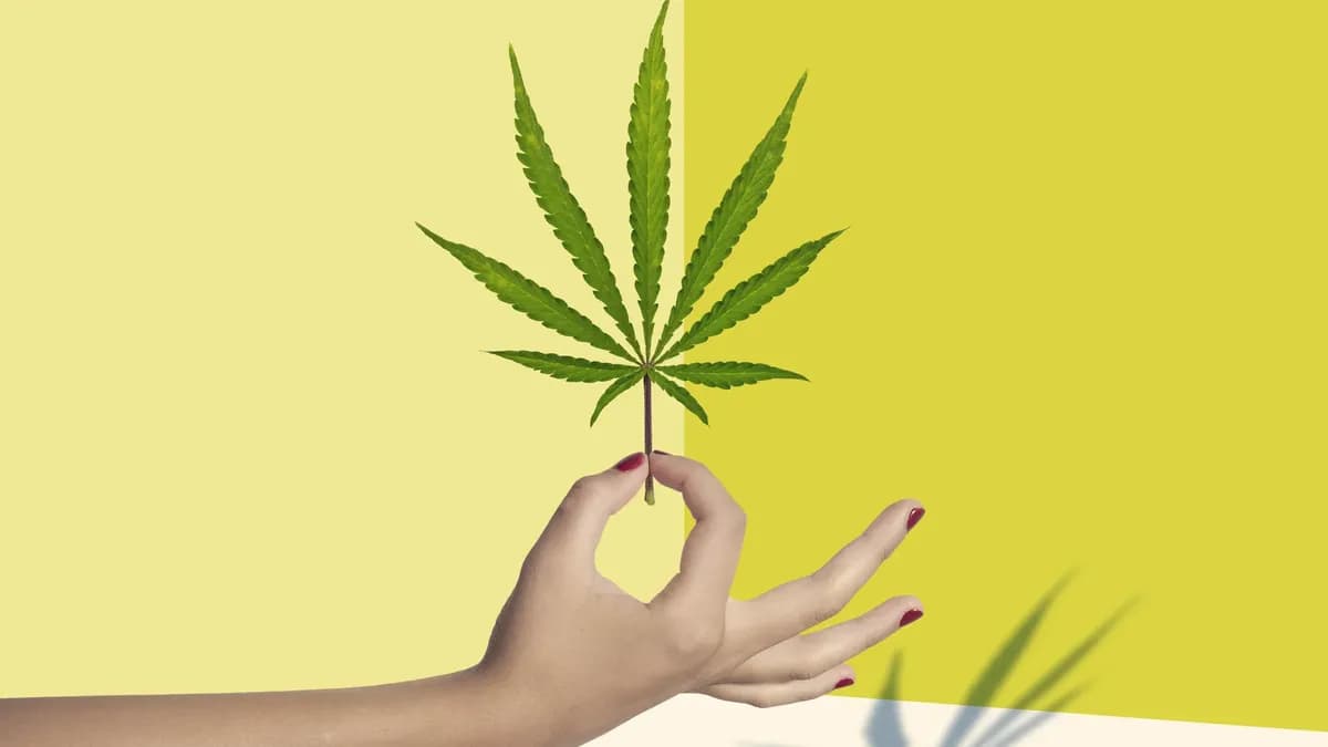 Die besten Kreuzungen finden – Hanfsamen bestellen für ein einzigartiges Erlebnis