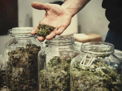 Alles über die Mitgliedschaft in einem Cannabis Club in Barcelona