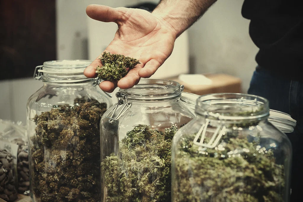 Alles über die Mitgliedschaft in einem Cannabis Club in Barcelona