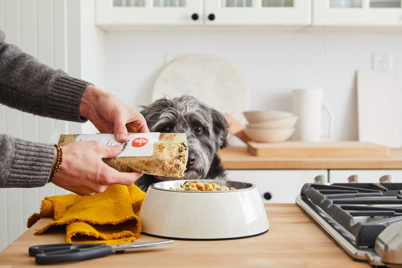 The Farmers Dog Price Breakdown: Subscription Cost Tips